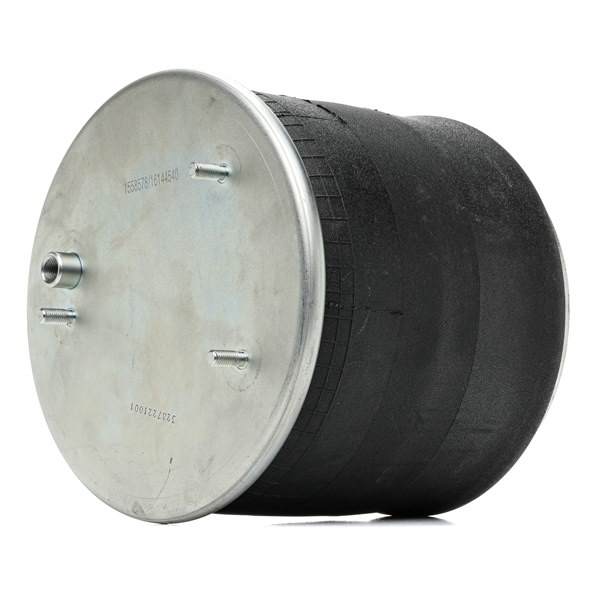 0388165 OE RIDEX Oro pagalvės 4119A0068