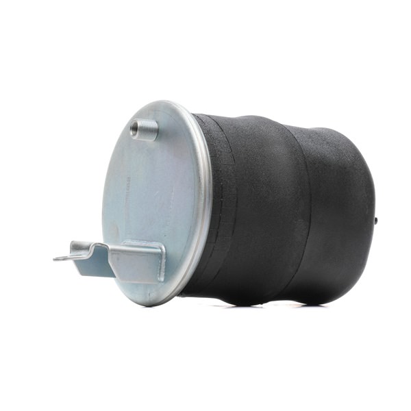 4119A0070 RIDEX 21961451 Luftfeder, Fahrwerk