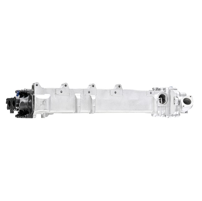 EGR RIDEX REMAN 4198E0047R
