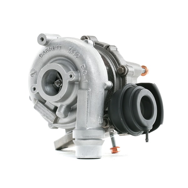 RIDEX REMAN 2234C10273R Turbolader RENAULT Scénic III (JZ0/1_) 2.0 dCi Diesel 160 PS 2012