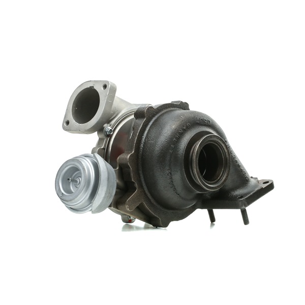 Turbocompresseur RIDEX REMAN 2234C10279R appropriées pour ALFA ROMEO pas cher