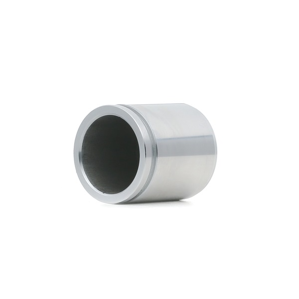 RIDEX 2248P0041 Êmbolo, pinça do travão PEUGEOT 205 II (20A/C) 1.9 Diesel Diesel 64 cv 1998 preço