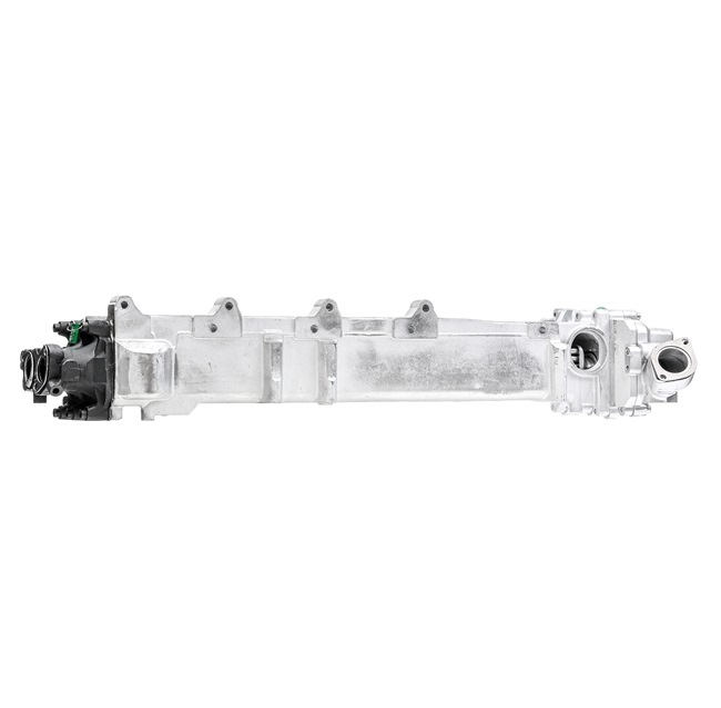 Eksosreturventil RIDEX REMAN 4198E0050R