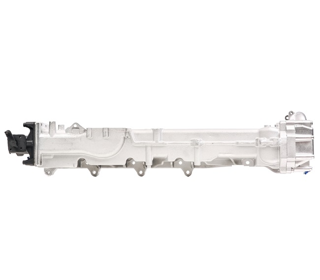 EGR RIDEX REMAN 4198E0051R