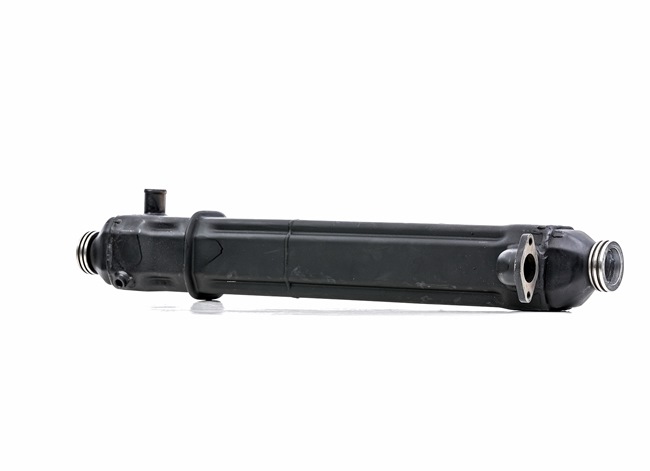 EGR ventil RIDEX REMAN 4198E0053R