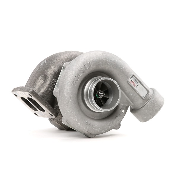 11043094 OE RIDEX REMAN Turbocharger 2234C10303R
