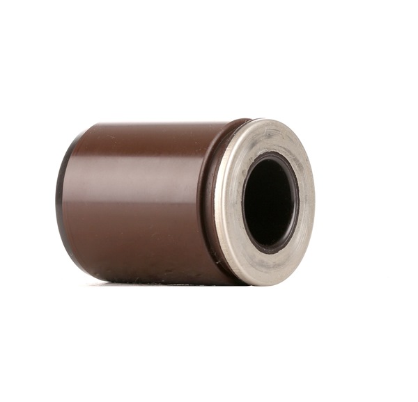 RIDEX 2248P0042 Êmbolo, pinça do travão CHRYSLER 300 C Touring (LX, LE) 3.5 Gasolina 249 cv 2010 preço