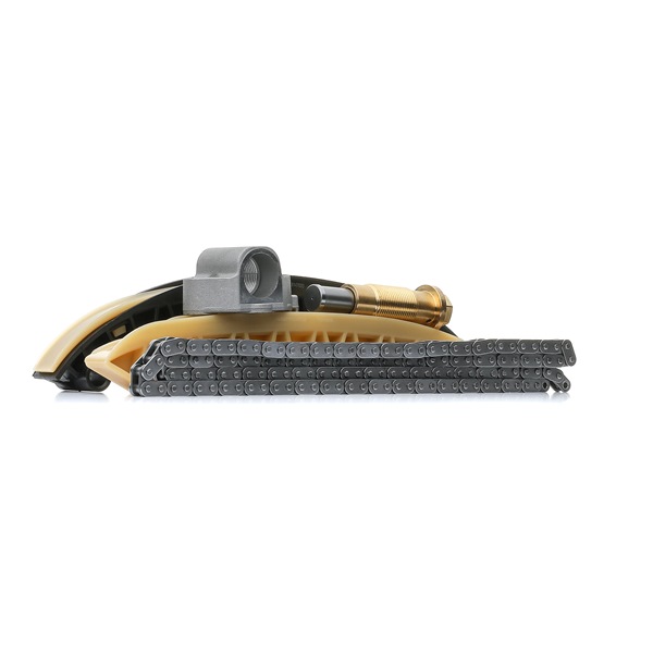 RIDEX A0009932176 Jakoketjusarja 1389T2509