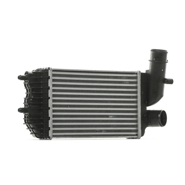 d'origine Citroën JUMPY RIDEX Radiateur de turbo 468I0163