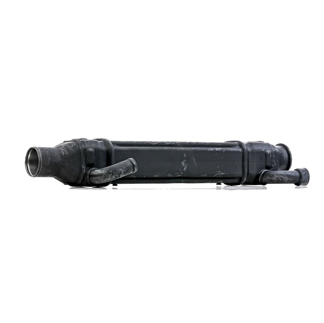 2074600 OE RIDEX REMAN Module-EGR 4198E0055R