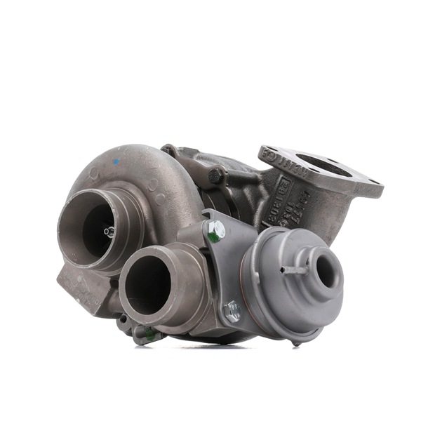 49T7707460 OE RIDEX REMAN Turbocharger 2234C10341R