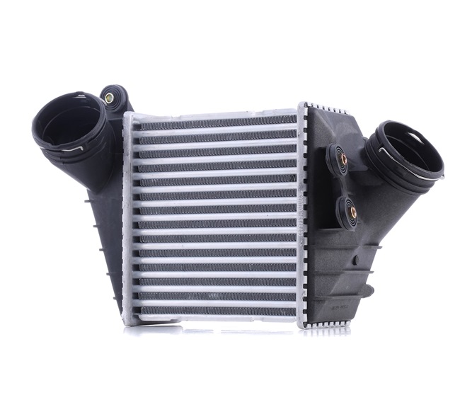 RIDEX 468I0181 Hladilnik polnilnega zraka VW Beetle 9c 1.9 TDI Dizel 101 km 2009