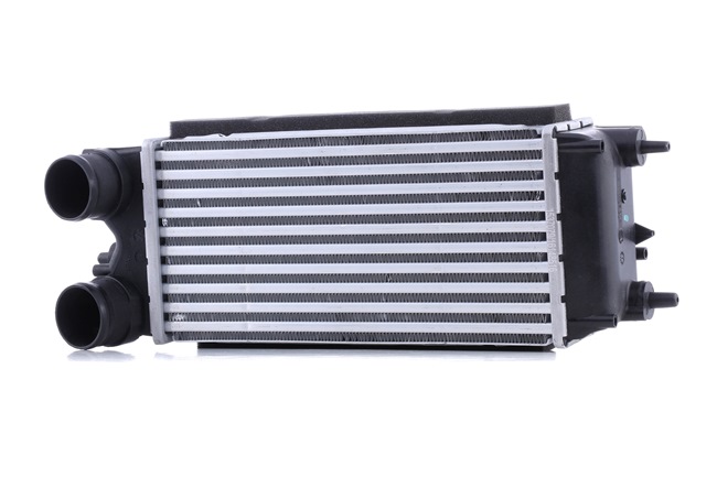 RIDEX Échangeur d'air RANGER 468I0186