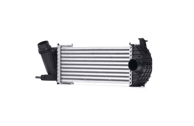 STARK SKICC-0890326 Turbo intercooler RENAULT Kangoo II Express (FW) 1.5 dCi 90 (FW18) Gasóleo 91 cv 2024 precio