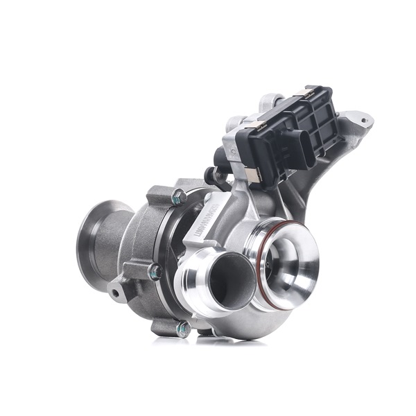 11658519477 OE RIDEX Turbolader 2234C10389
