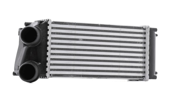 0384H5 OE STARK Интеркулер SKICC-0890334
