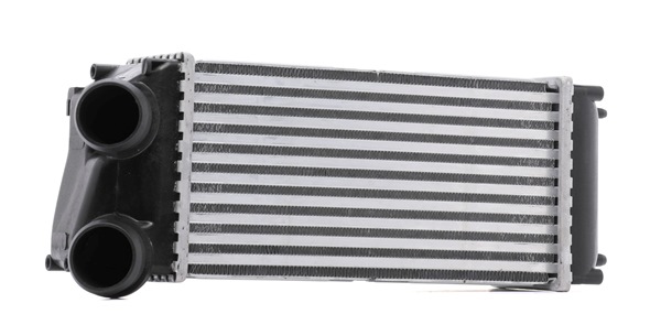 0384H5 OE RIDEX Интеркулер 468I0219