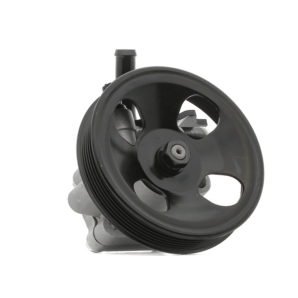 RIDEX 12H0273 Bomba de direção hidráulica HYUNDAI Santa Fe I (SM) 2.7 V6 4x4 Gasolina 173 cv 2002 preço