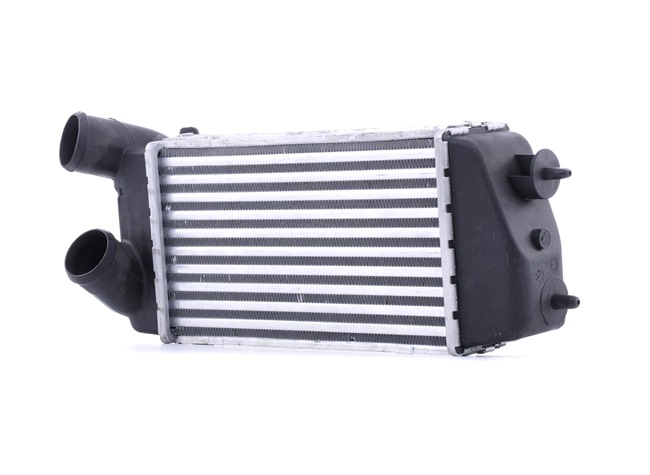 0384G2 OE STARK Intercooler SKICC-0890350