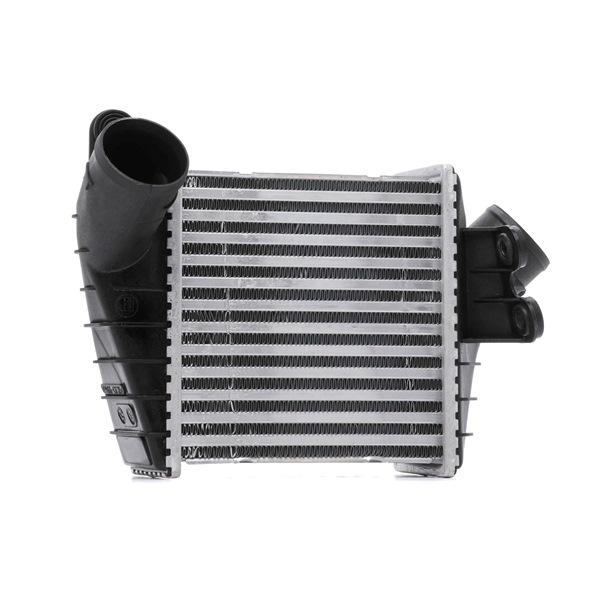 1C0145803 OE STARK Interkuleris SKICC-0890455