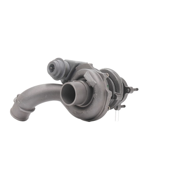 RIDEX REMAN 2234C10424R Turbina SSANGYONG RODIUS 2.7 Xdi 4WD Diesel 165 CV 2025 prezzo
