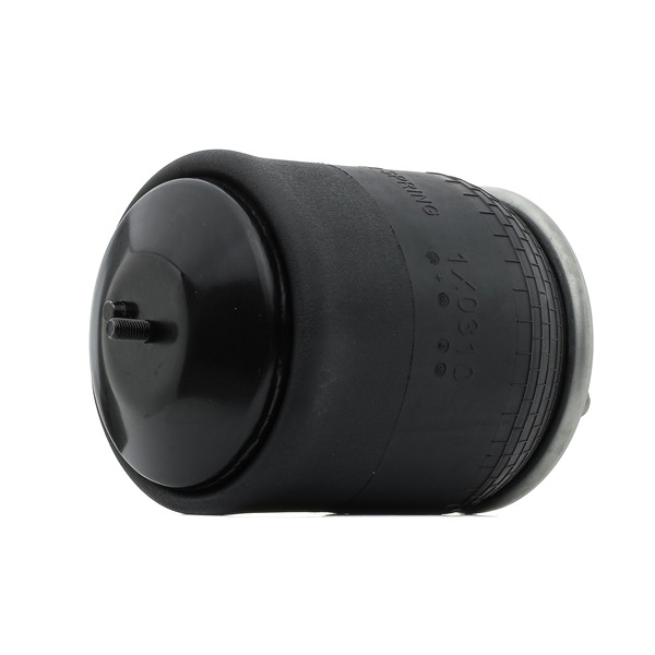 21224745 OE RIDEX Mola pneumática 4119A0079
