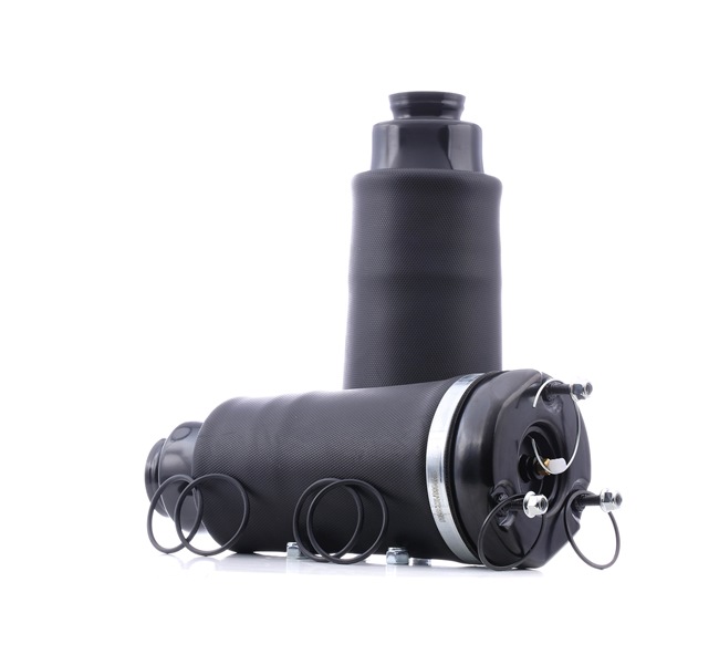 2513203013 OE RIDEX Luftfjeder 4119A0082