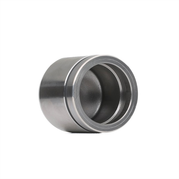 RIDEX 2248P0047 Поршень тормозного суппорта VW TRANSPORTER III c бортовой платформой/ходовая часть 1.6 TD Syncro Дизель 69 л.с. 1992