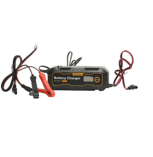 Batterie, Starthilfegerät RIDEX 8040A0009 passend für VW, AUDI, BMW, MERCEDES-BENZ, FORD zum günstigen Preis