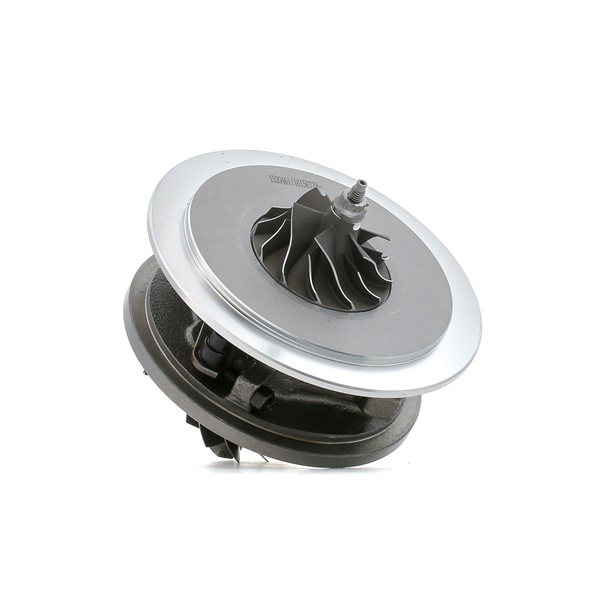 172010G01C OE RIDEX Trupna skupina, polnilnik 4973C0093