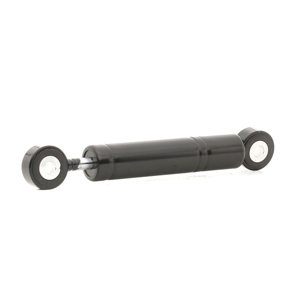 RIDEX A1032000114 Spännrulle, aggregatrem