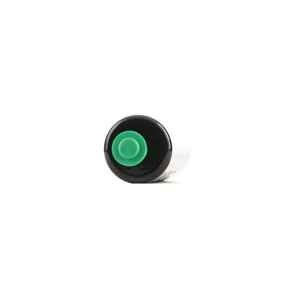 458F13811 RIDEX Brandstofpomp RENAULT 25 kopen