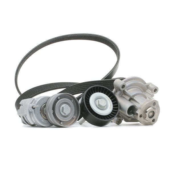 RIDEX 4172P0055 Drivremskit VW Passat Variant (3C5) 1.6 FSI Bensin 115 hk 2008 pris