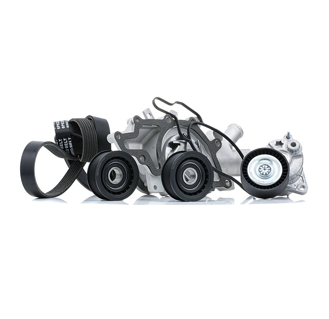 RIDEX 4172P0056 Multiriem set MERCEDES-BENZ SPRINTER 3-t Open laadbak/ Chassis (903) 316 CDI 4x4 (903.612, 903.613, 903.622, 903.623) Diesel 156 Pk 2002 kosten