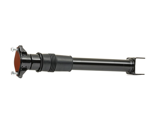 1643200931 OE RIDEX Shock absorber 854S17960