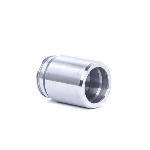 RIDEX 2248P0055 Pistón de la pinza de freno FORD C-MAX (DM2) 1.6 TDCi Gasóleo 101 cv 2010 precio