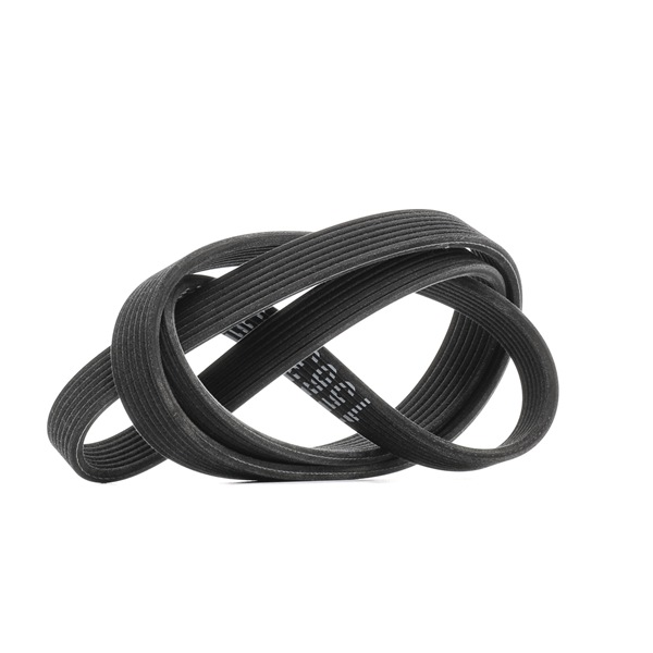 Correa trapecial poli V 11287808107 RIDEX 305P0486