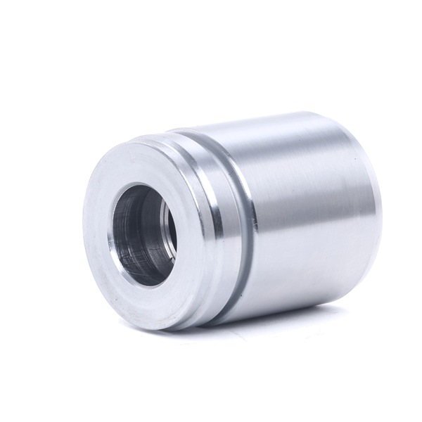 RIDEX 2248P0058 Stempel, bremsekaliper ROVER 75 Tourer (RJ) 2.5 V6 Benzin 177 HK 2003 pris