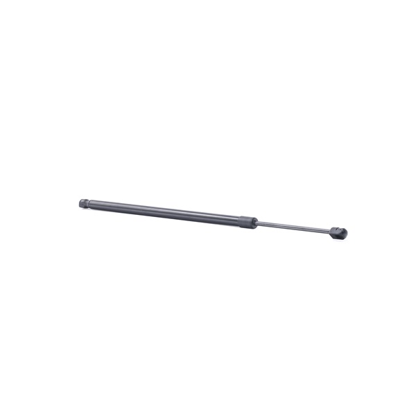 RIDEX 219G0980 Bagklapsdæmper RENAULT Espace V (JR_) 2.0 Blue dCi 160 (JRAM) Diesel 160 HK 2023 pris