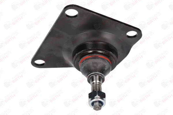BIRTH Spindelled CX9254