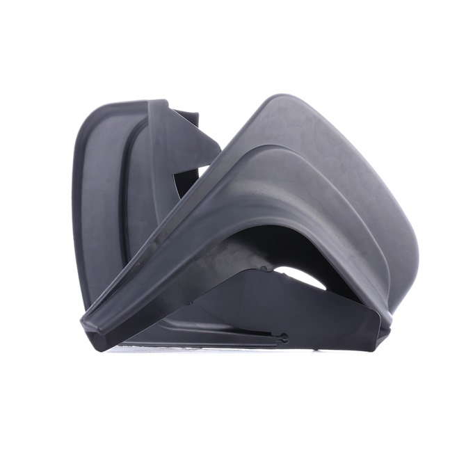 RIDEX 1715A0017 Palas de guarda-lamas