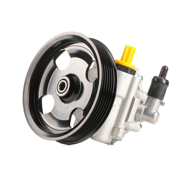 STARK SKHP-0540287 Pompa idroguida elettrica Saab 9-5 Sedan 1.9 TiD Diesel 150 CV 2009 prezzo
