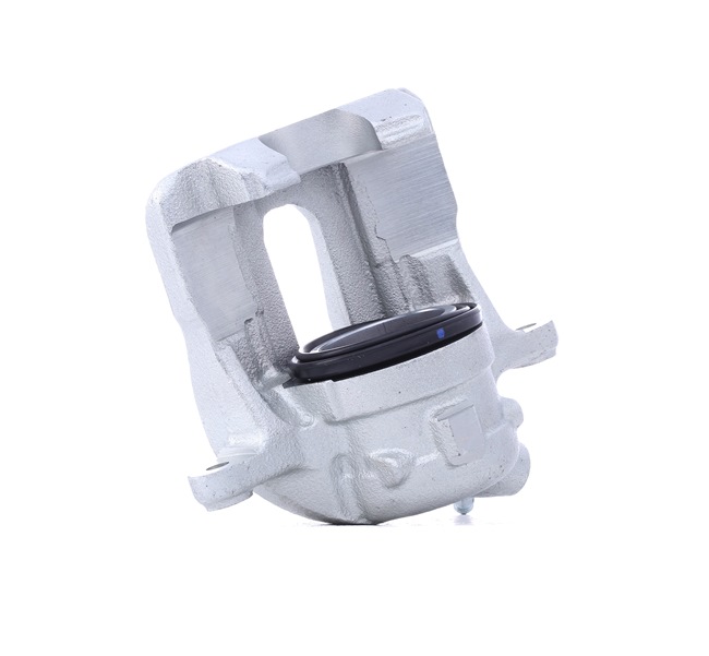 RIDEX A0004206283 Jarrusatula 78B1451