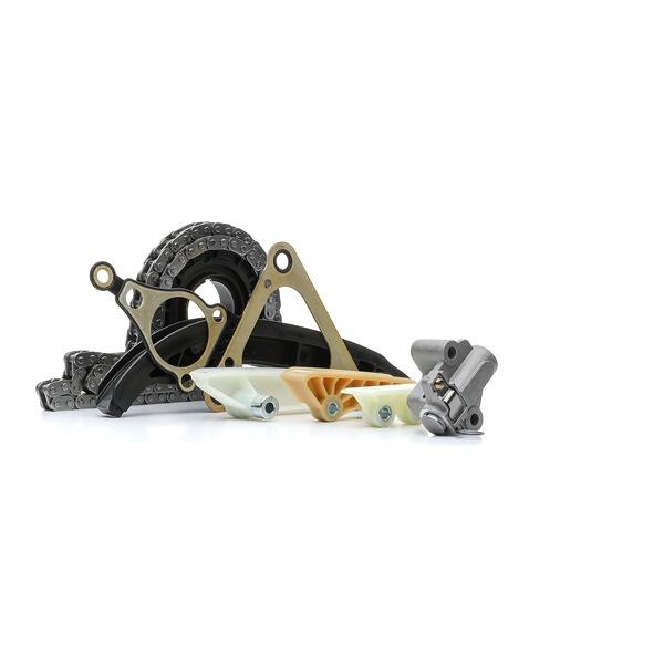 1704066 OE RIDEX Kit de chaîne de distribution 1389T2550