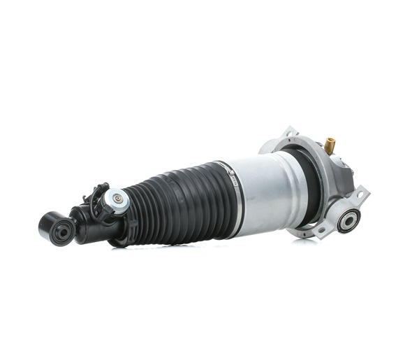 7L8616019C OE RIDEX Luftdempere 4118A0086