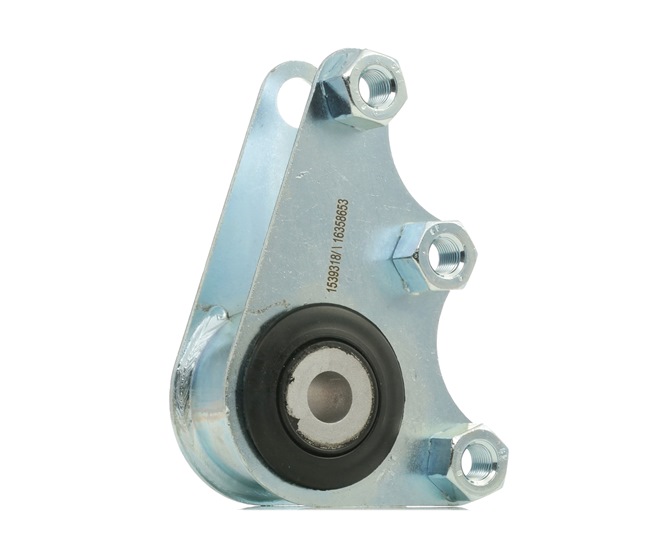 247E0692 Zampa motore RIDEX CITROЁN DS3 prezzo