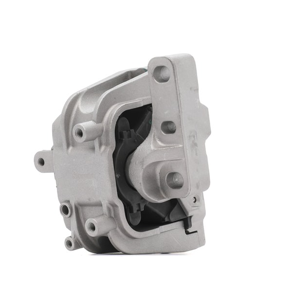 247E0693 Supporti motore RIDEX AUDI A3 prezzo