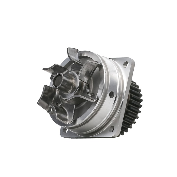B1010JK20A OE STARK Water pump SKWP-0520479