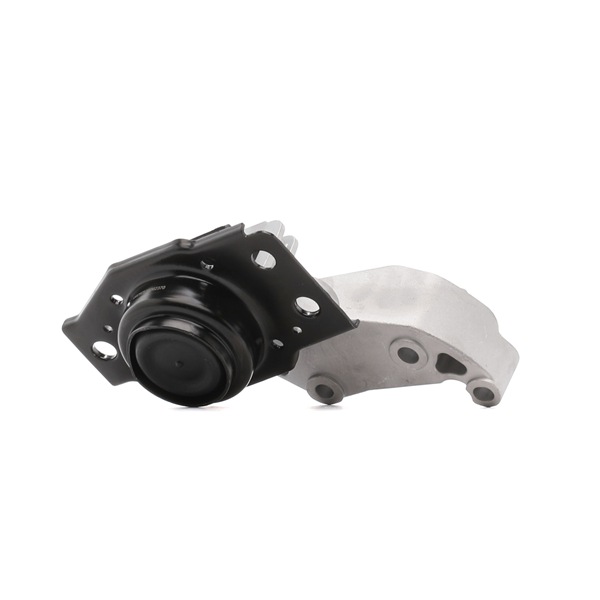 RIDEX 247E0698 Motorkudde NISSAN Qashqai / Qashqai+2 I (J10, NJ10) 2.0 dCi Allhjulsdrift Diesel 150 hk 2012 pris