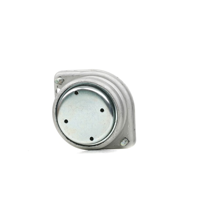 RIDEX 247E0702 Motorsteunen BMW 7 (E38) 735 i, iL Benzine 235 Pk 1996 kosten